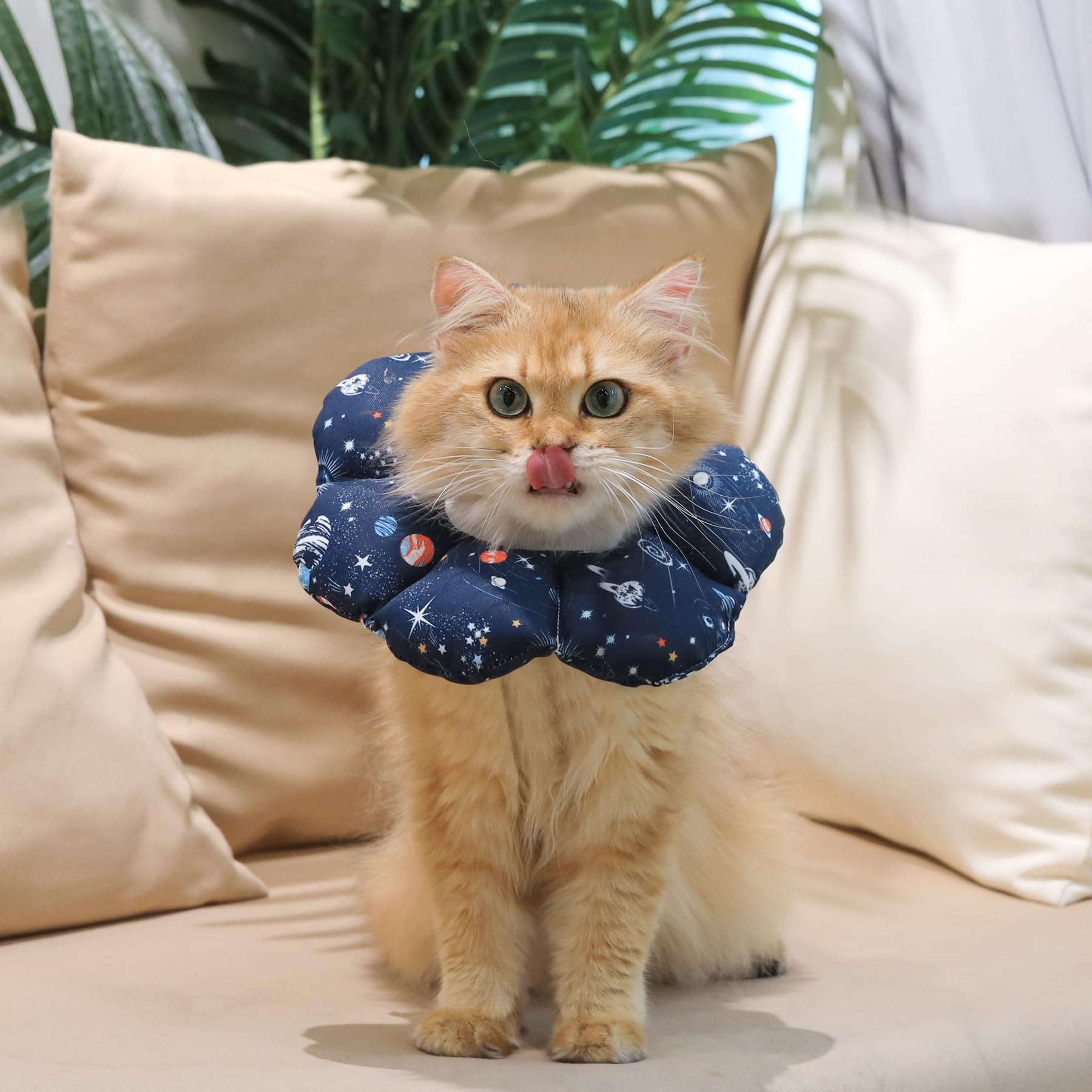 ComSaf Soft, Protective Adjustable Cat Cone Collar to Stop Licking After Surgery, Comfortable Lightweight Elizabethan Collar for